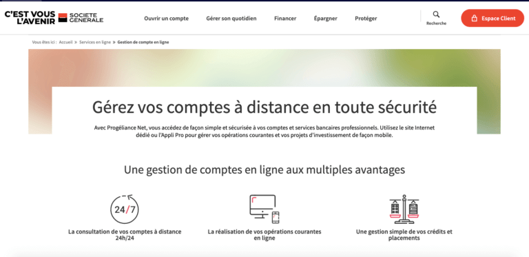 Progéliance Net Gestion De Comptes En Ligne Pour Les Pros