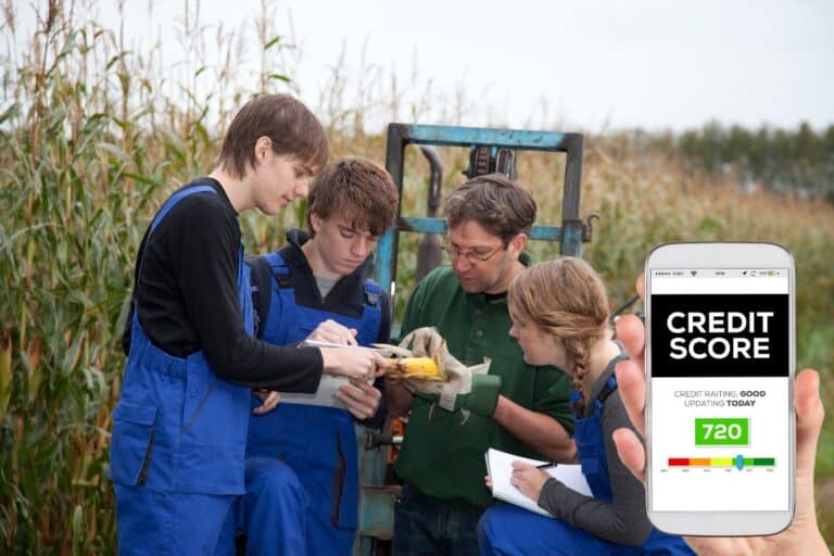 Des agronomes en association consultent le score de leur crédit agricole.