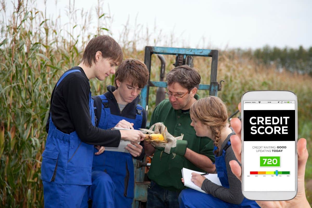 Des agronomes en association consultent le score de leur crédit agricole.