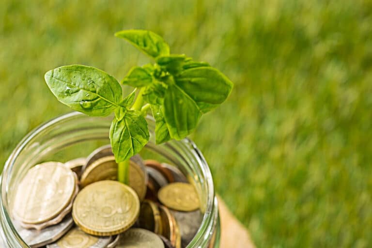 Financer des projets respectueux de l'environnement et économiser