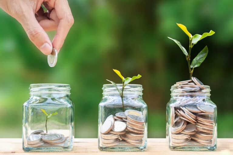 Une image représentant un arbre vert en croissance, symbolisant la durabilité financière et l'investissement responsable.